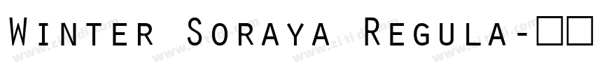 Winter Soraya Regula字体转换